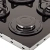 186330-1600-1600 ESTUFA DE EMPOTRAR CRISTAL NEGRO 60X51CM HIERRO FUNDIDO GAS NATURAL.